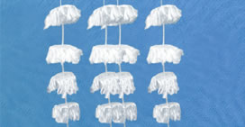 ˮ̎�����ϵķN�����Щ������