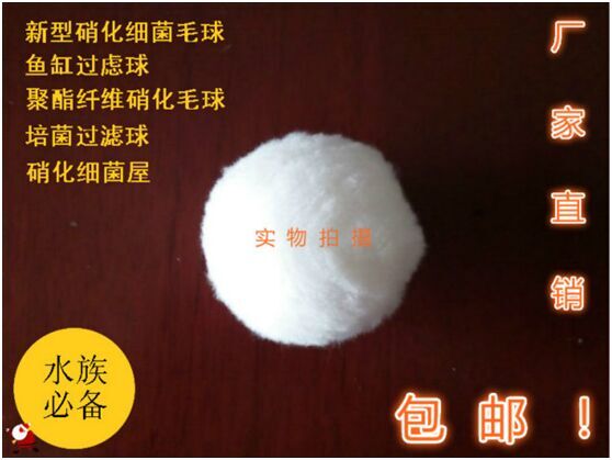 ������(x��)��ë���^�V������w�S��?y��n)V��